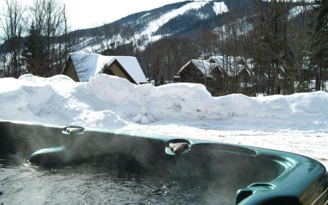 Chalets Alpins - 01 Chemin Blanc