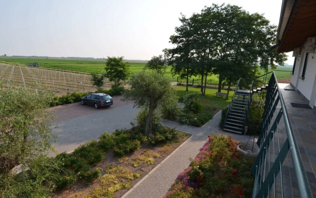 Pet-friendly Getaway With Pool