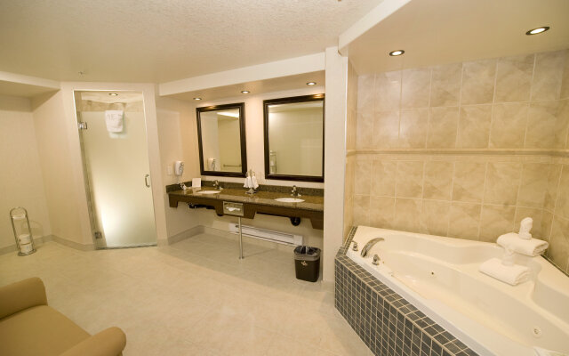 Holiday Inn Hotel & Suites West Edmonton by IHG