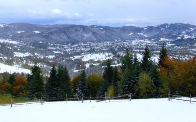 Sadyba Vedmezha Gora