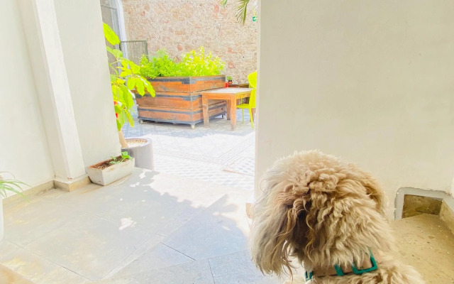 Kuku Rukú Querétaro