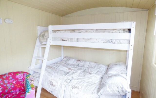 Joseph's Hide