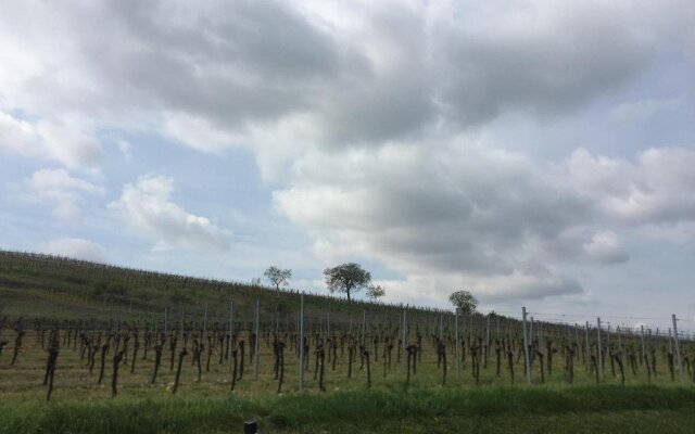 Winzerhof Agerlhof