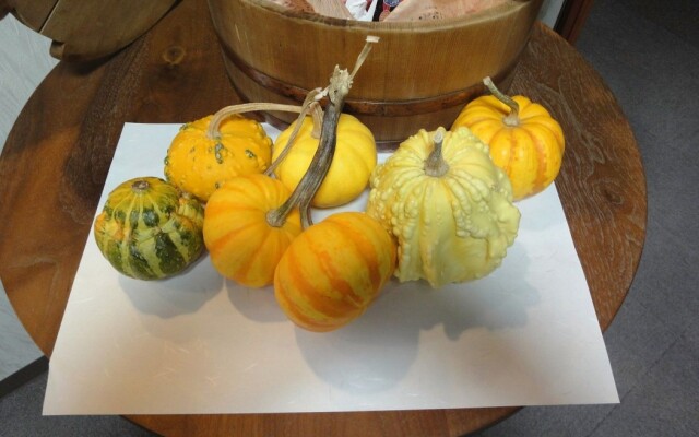 Hakuba Glad Inn Ebisuya