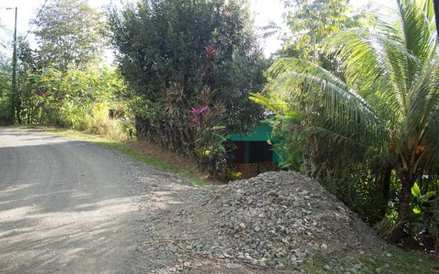 Enchanting House Overlooking the Primary Forest