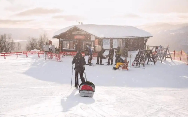 Large 8-9-bed Central Ski Innout House in Hemavan