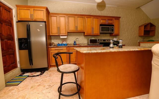 Look Out Point (Apartment with King Bed)