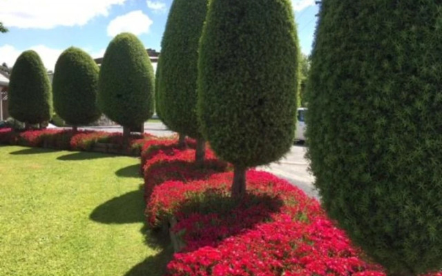 Otorohanga Kiwi Holiday Park