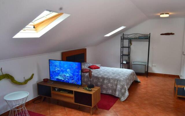 Lazy Lizard Studio