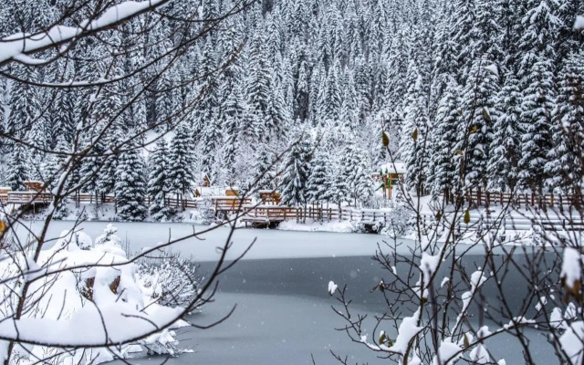 Appartements Barbara