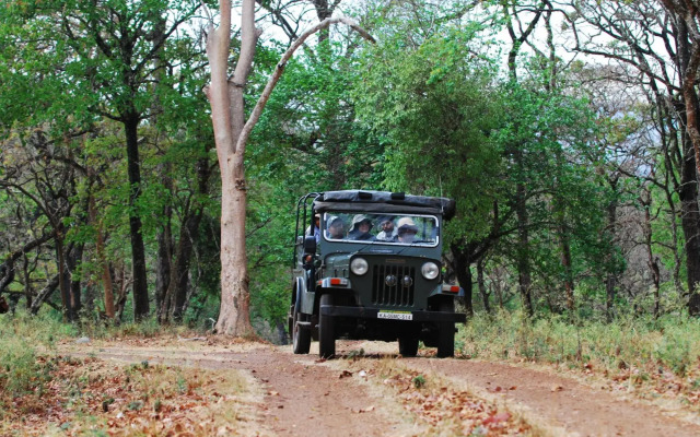 K. Gudi Wilderness Camp