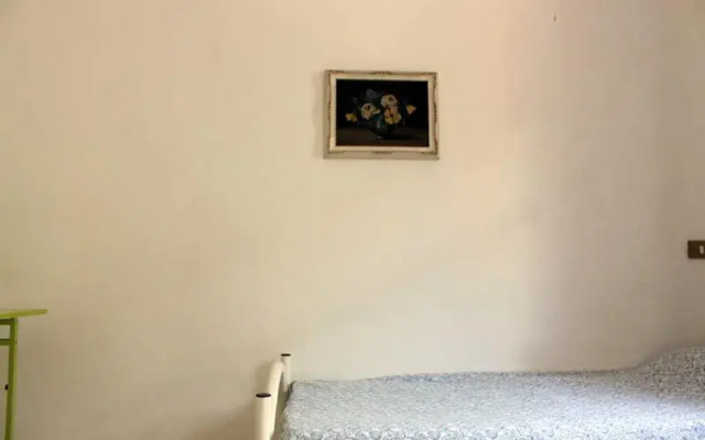 Di Nuova Vista
