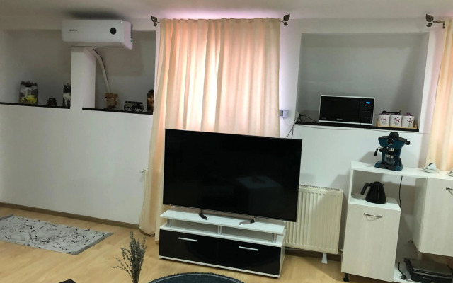 Serban Home Arenele Romane Marius Nasta