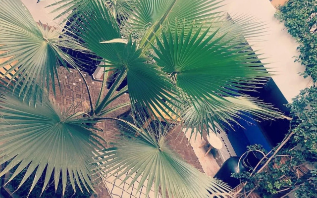 Riad Bjoujna