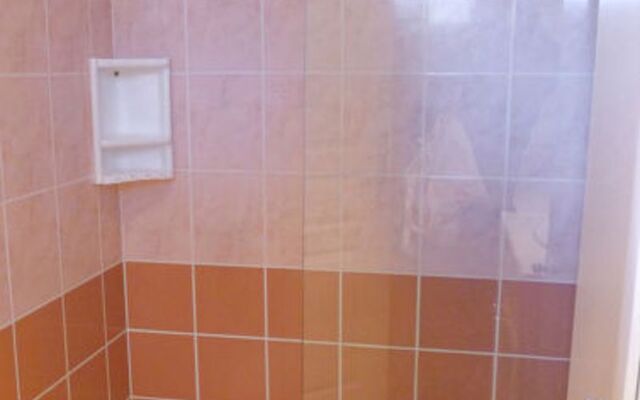 Les écureuils 15691