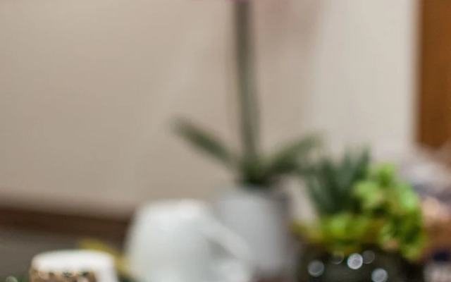 Nina'S  Accommodations In Venice Center