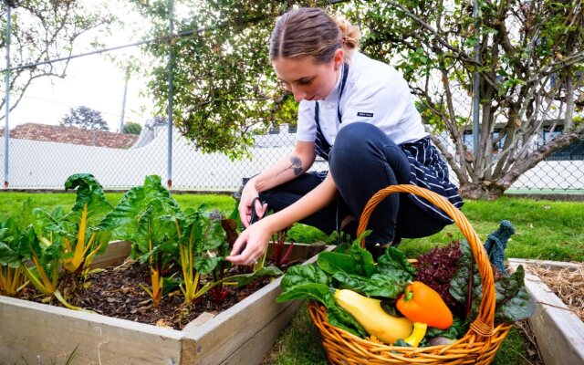On The Point - Lake Rotorua