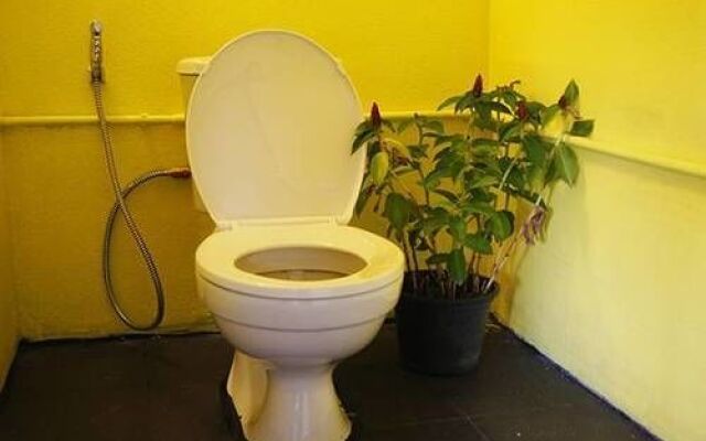 Dorm Des Fleurs