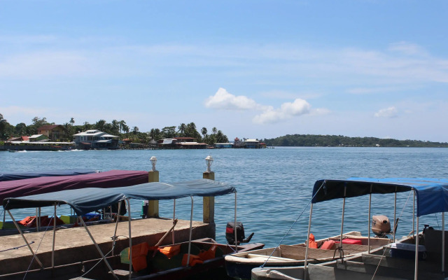 Coconut Hostel