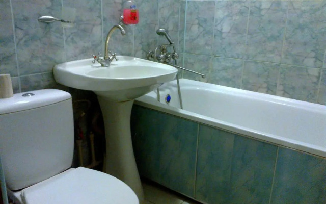 Apartment on Robitnycha