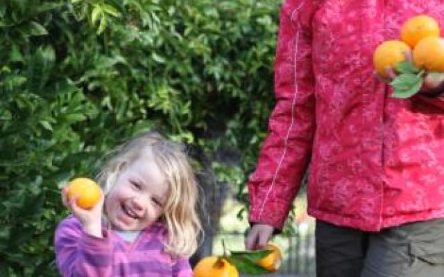 Chestnut Brae Farmstay