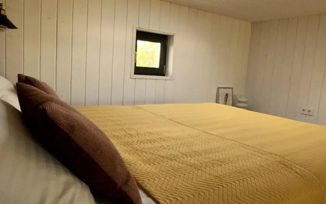 Дом Шелуха (Sheluha House)