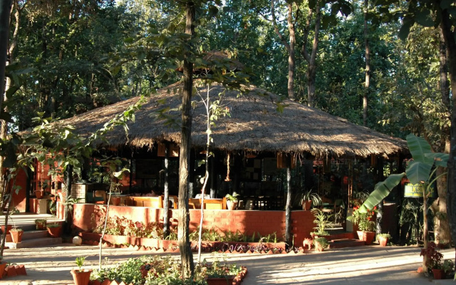 Kanha Jungle Lodge
