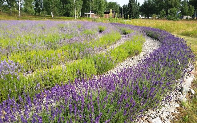Camp Reinsehlen Hotel
