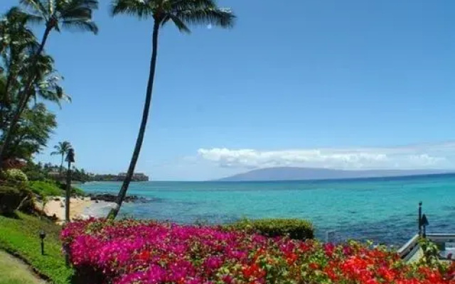 Polynesian Shores 111