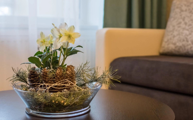 Spa Druskininkai Apartment