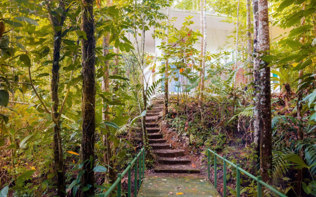 Portasol Rainforest and Ocean View Living