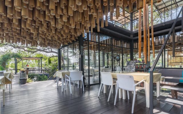 Bangkok Tree House