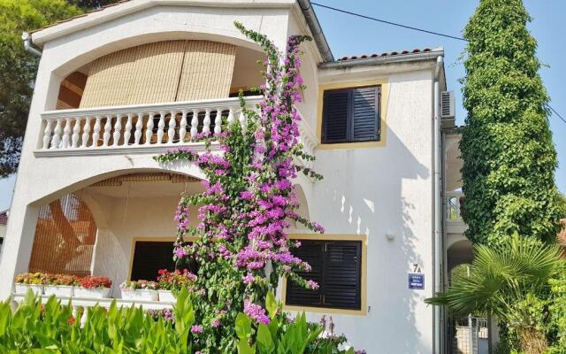 Apartment Luna