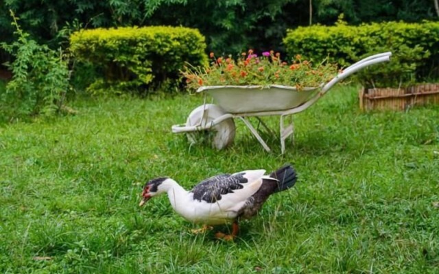 Pousada Luar do Sertão
