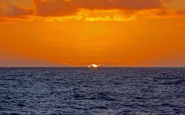 Direct Oceanfront, Big Island Home