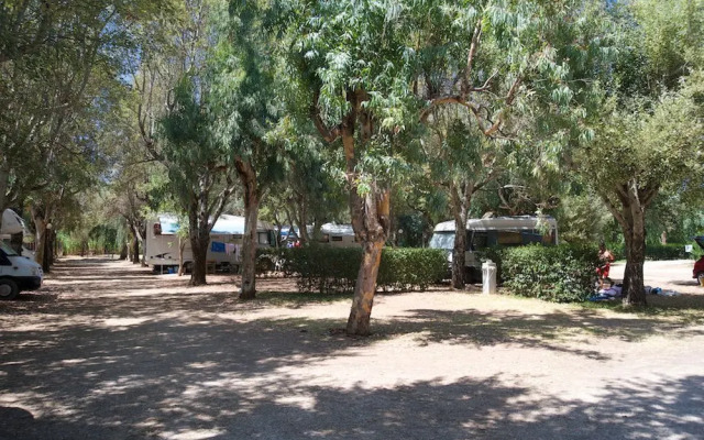 Happy Camp in Camping Karavomilos Beach