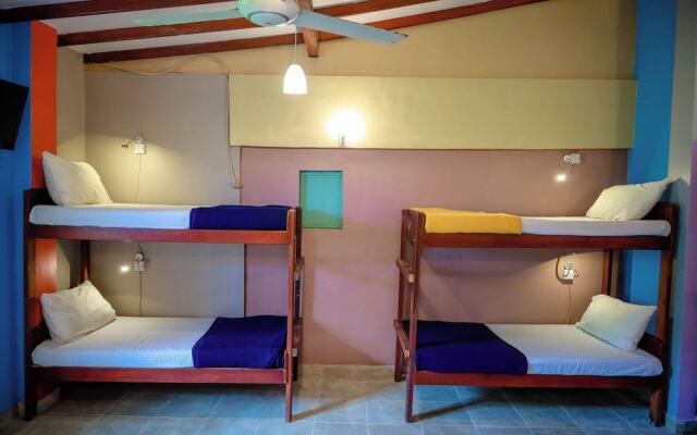 Funk Bunk Mount View Lodge