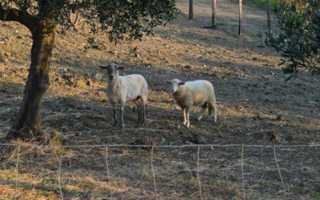 Podere Lesignano