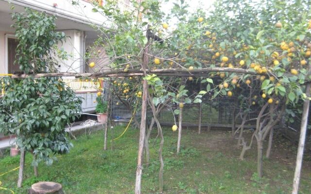 Appartamento  Serena