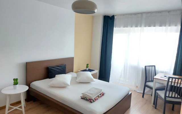 Piata Victoriei Arcul de Triumf Studio Apartment