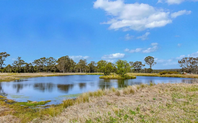 Olives and Vines at Majors Lane