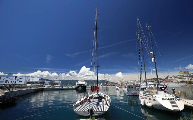 Centrally located studio apartment Seagull