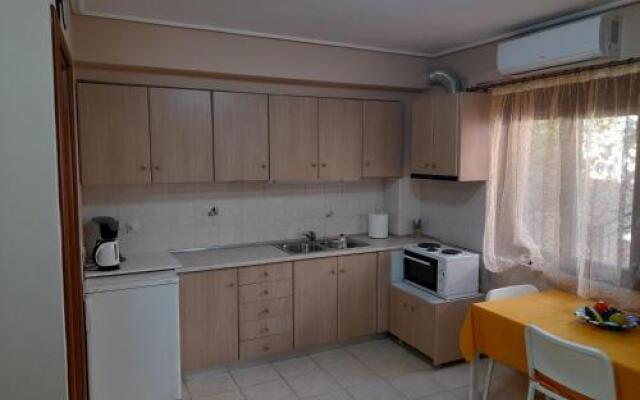 Nikos Studio