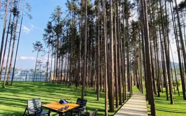 Yunqing Homestay (Shanghai Lujiazui Yaoban Branch)