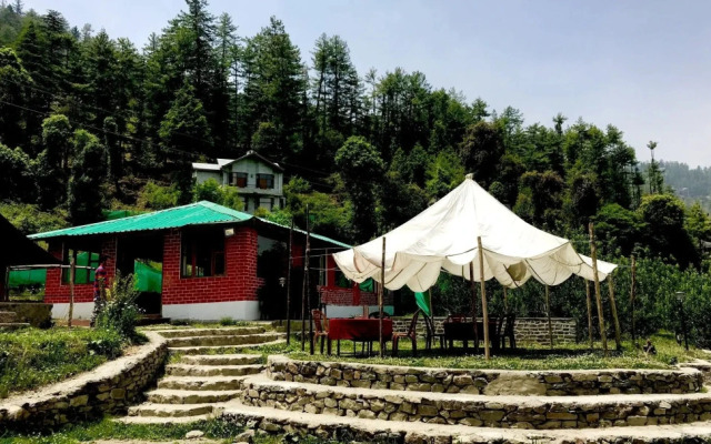 Mashobra Greens