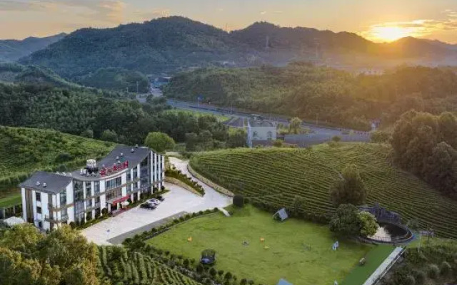 Yingyuan Farm · Anji Yingyuan Tea Manor