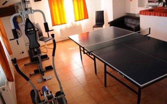 Vila Paltinis