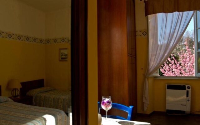 Hotel Ristorante La Vignetta Cernobbio