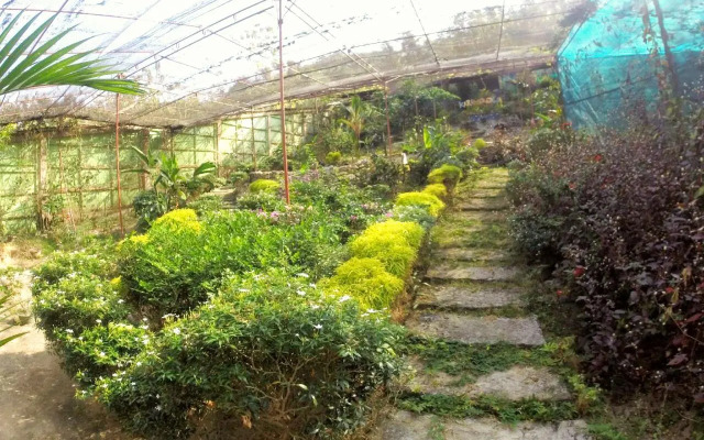 Karimun Butterfly Park