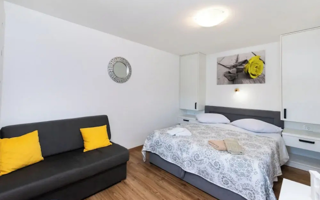 Apartment Branko